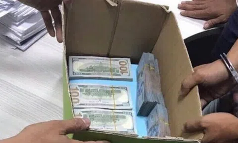 Quy trách nhiệm hình sự cho kinh doanh vàng và ngoại hối trái phép là phù hợp