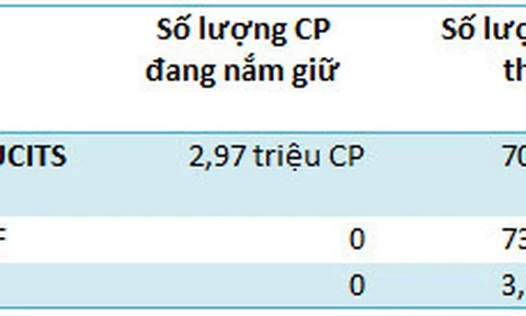 Liên tục mua ròng Ros, khối ngoại đang toan tính điều gì?