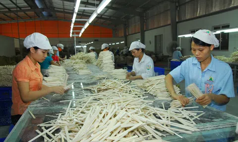 Dự thảo Luật Hỗ trợ doanh nghiệp nhỏ và vừa: Những vấn đề cần Quốc hội cân nhắc kỹ lưỡng
