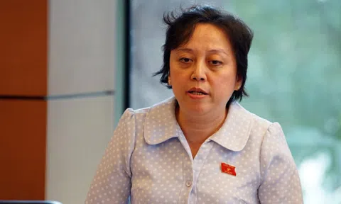 'Trộn chất cấm vào thức ăn phải bị xử như Minh Béo ở Mỹ'