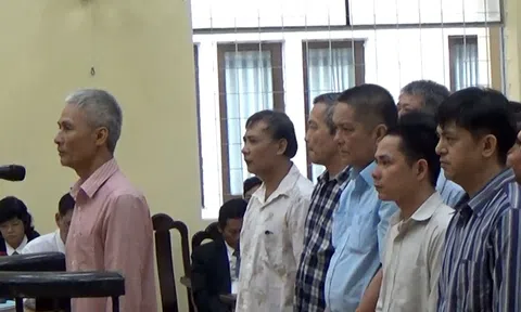 Cà Mau: Xử 7 “đại gia” thủy sản chiếm đoạt hơn 1.000 tỷ đồng