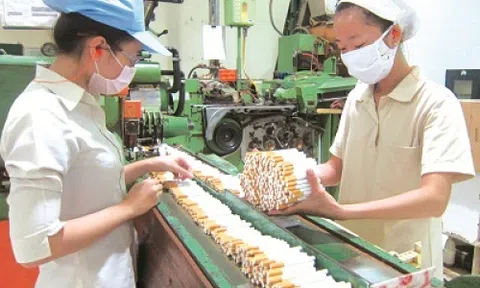 Tăng thuế thuốc lá: Tại sao không?