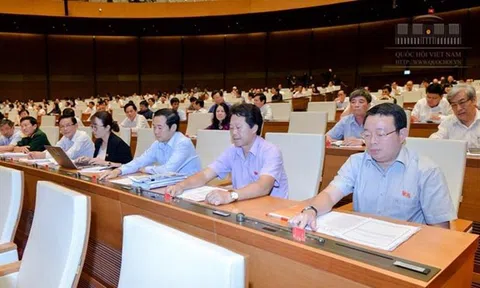 Nghị quyết về việc thi hành Bộ luật hình sự 2015 và các luật có liên quan