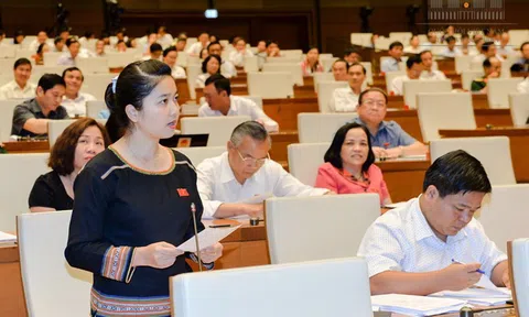 “Đất rừng còn mang bán, trồng rừng bằng niềm tin sao?"
