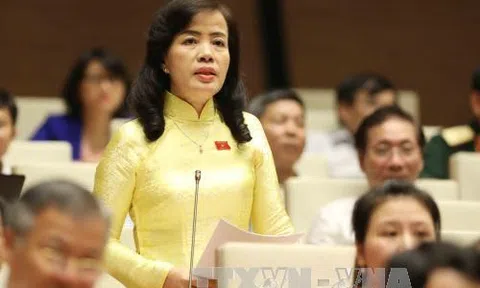 Kiên quyết rút các dự án chưa bảo đảm chất lượng khỏi Chương trình xây dựng luật, pháp lệnh