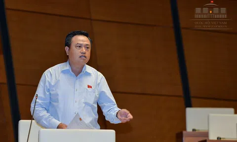 “Đừng để Nghị quyết trở thành bùa chống lưng cho sai phạm tín dụng”