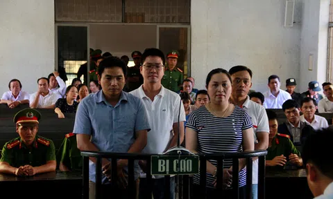 Bốn giám đốc chiếm đoạt tiền của hơn 500 người lãnh án