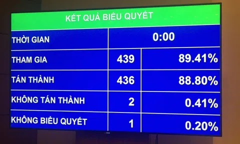 Năm 2018, QH chỉ giám sát chuyên đề cổ phần hóa DNNN