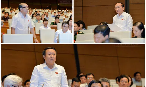 Dự án đầu tư đắp chiếu: Đề nghị truy trách nhiệm hình sự với cả cán bộ nghỉ hưu
