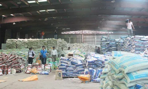 Vụ Công ty Thuận Phong: Nên giao cho Cơ quan điều tra Viện KSNDTC