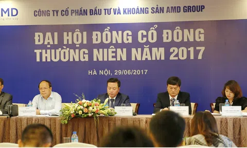 AMD Group tăng vốn điều lệ, đặt mục tiêu doanh thu 1.500 tỷ đồng năm 2017