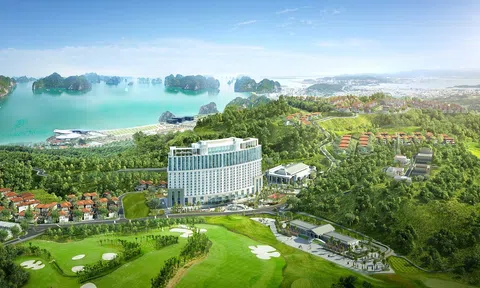 12%/năm: FLC Grand Hotel Hạ Long công bố cam kết lợi nhuận cao nhất Việt Nam