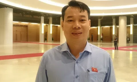 Đại biểu QH và chuyên gia phân tích các khía cạnh pháp lý xoay quanh 12 dự án thua lỗ
