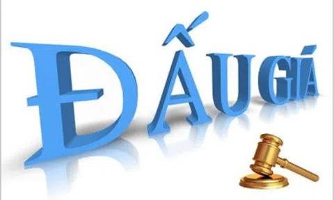 Thông báo đấu giá: Công ty cổ phần dịch vụ đấu giá Việt Nam tổ chức bán đấu giá tài sản thanh lý