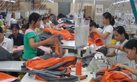 Không nên can thiệp hành chính vào thị trường lao động