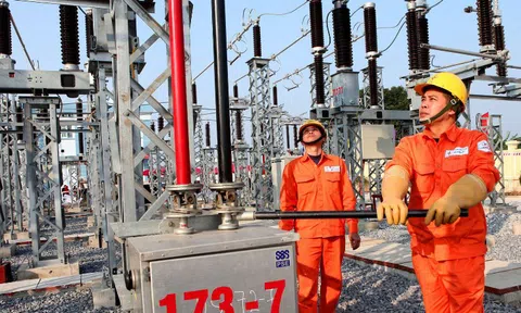 Giám sát về cổ phần hóa DNNN: Làm gì để khắc phục lỗ hổng và thu hồi tài sản thất thoát?