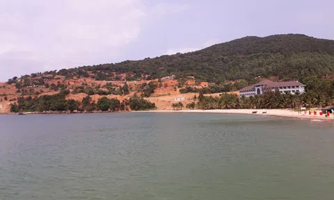 Quy định pháp luật về chuyển đổi đất rừng để làm Dự án kinh tế: Chuyên gia chỉ ra hàng loạt lỗ hổng và kiến nghị sửa Luật
