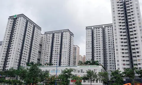 Thấy gì khi các “thiên đường thuế” dốc vốn vào Việt Nam?