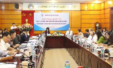 Án lệ góp phần hoàn thiện những quy định pháp luật còn chung chung