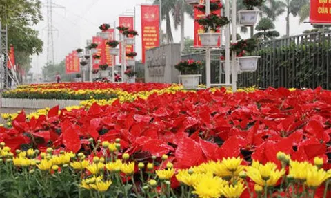 Lồng nhốt quyền lực, lồng nhốt tham vọng