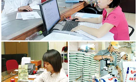 Ban hành 11 văn bản QPPL trong tháng 8/2017