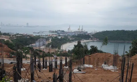 Phó Thủ tướng yêu cầu thanh tra toàn diện Sơn Trà