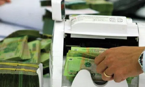 Phó thủ tướng yêu cầu Ngân hàng Nhà nước thanh tra 2 ngân hàng