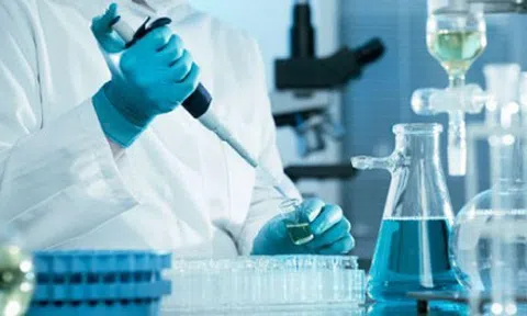 Bài 16: Những quy định thể hiện tính nhân đạo sâu sắc