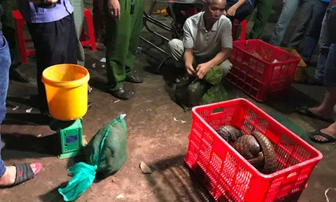 Bộ Công an bắt đối tượng buôn bán động vật hoang dã số lượng lớn