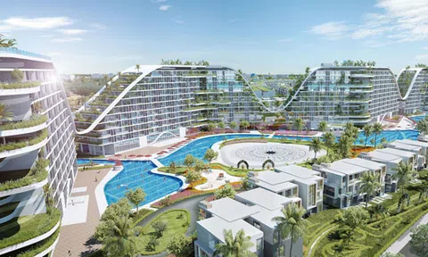 Cam kết tối thiểu 10%, thực tế lợi nhuận tại The Coastal Hill là bao nhiêu?