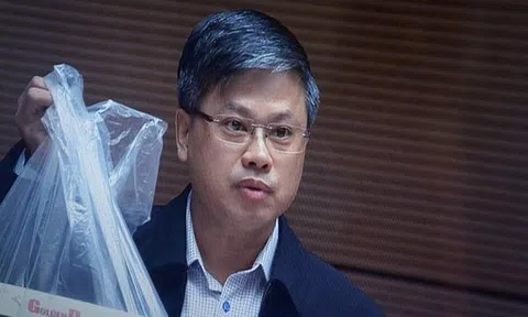 'Chính quyền chủ động phá rừng mới thật ghê gớm!'