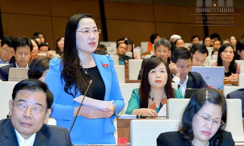 ĐBQH: Không có tố tụng đặc biệt, khó thu hồi tài sản không nguồn gốc