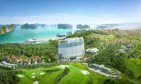 HSBC: Dầu thô thất thế, du lịch lên ngôi tại Việt Nam