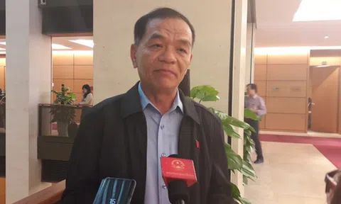Trưởng Đặc khu kinh tế: Xã hội không thiếu người tài, nhưng cần khung khổ pháp lý!