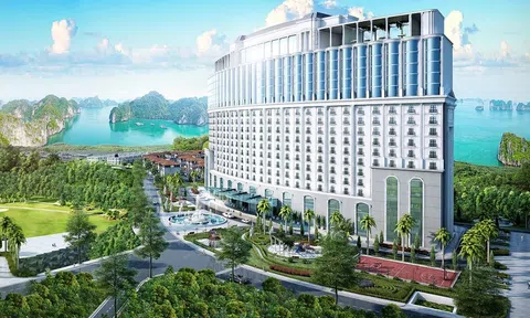 Condotel 2 phòng ngủ đón đầu xu hướng du lịch gia đình