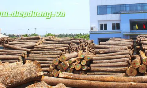 Bài học về hợp tác kinh doanh nhìn từ một vụ việc