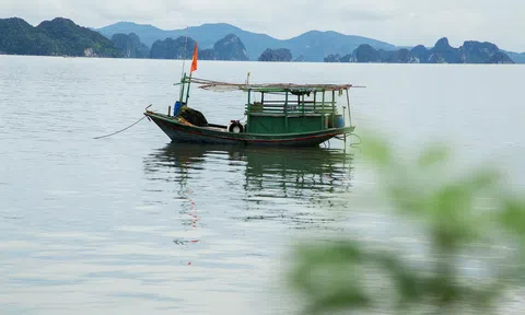 Đặc khu kinh tế: Động lực mới cho nền kinh tế