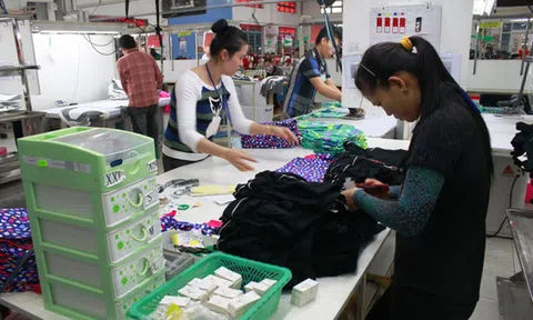 Tiền lương đóng BHXH không phải là toàn bộ thu nhập