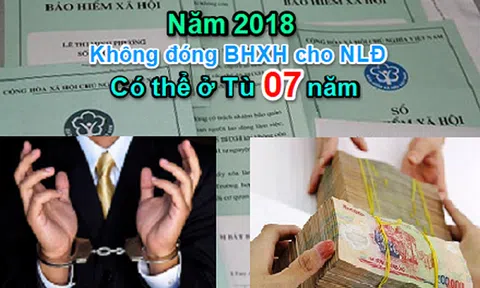 Từ 1/1/2018, trốn đóng Bảo hiểm xã hội có thể bị phạt tù đến 7 năm