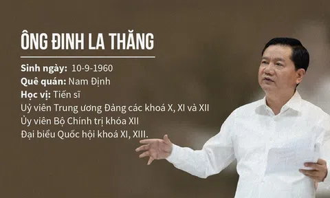 Quy trình bắt ông Đinh La Thăng được thực hiện như thế nào?