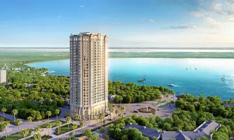 Vingroup, Tân Hoàng Minh dẫn đầu doanh số bán căn hộ trên thị trường