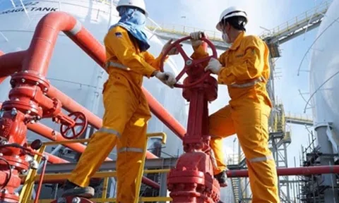 Vì sao hàng loạt doanh nghiệp niêm yết bị truy thu thuế