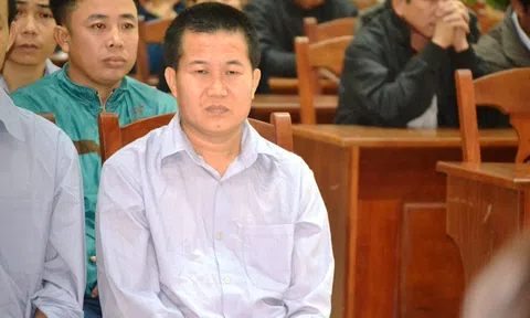 Tòa quân sự xét xử 21 người phá rừng pơ mu ở Quảng Nam