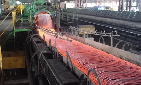Tổ tư vấn kiến nghị Thủ tướng cách ứng phó khi Mỹ giảm thuế "sốc"