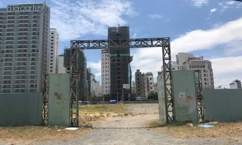 Vụ chuyển nhượng đất vàng trái phép ở Đà Nẵng: Cần làm rõ trách nhiệm các cá nhân, tổ chức