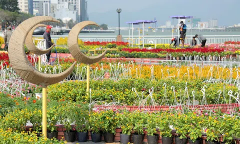 Người dân và du khách sẽ được ngắm pháo hoa rực rỡ đêm giao thừa tại Đà Nẵng