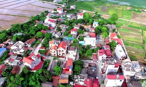 Một số DN cổ phần hóa được chuyển nhượng quyền sử dụng đất không thông qua đấu giá