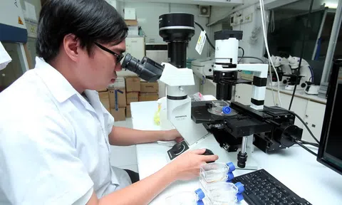 TP.HCM đề xuất “thưởng” tiền tỷ để chiêu mộ người giỏi làm cơ quan nhà nước