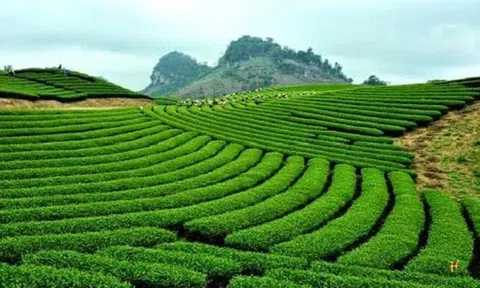 Quy định mới về thu tiền sử dụng đất