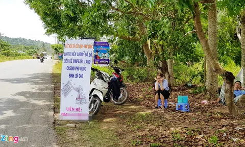 Phó thủ tướng chỉ đạo thanh tra đất nông nghiệp ở Phú Quốc